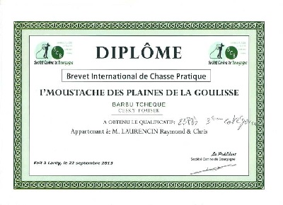 Des Plaines De La Goulisse - Le BICP pour Moustache