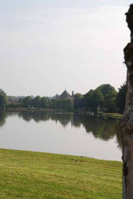 Des Plaines De La Goulisse - Nationale d'élevage du Drahthaar Club de France