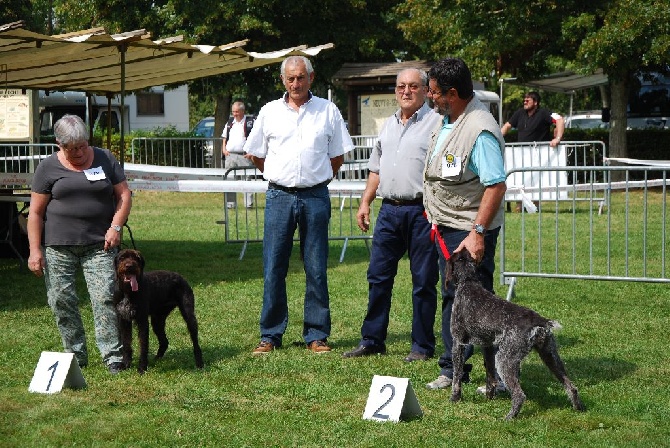 Des Plaines De La Goulisse - Doublé à la Nationale d'élevage 2014